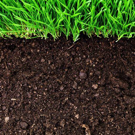 Syngenta apoia agricultores portugueses na regeneração do solo