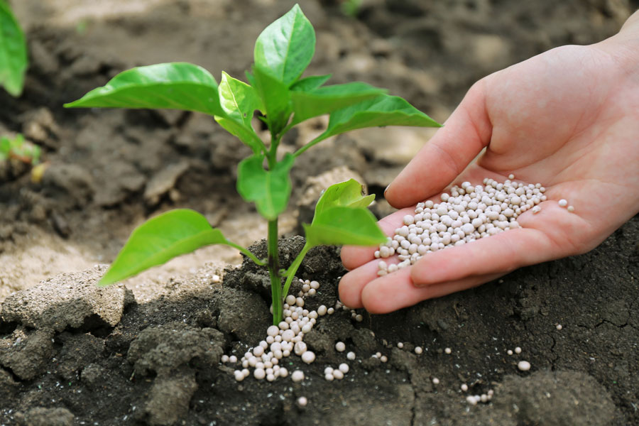 DGAE publica Lista de matérias fertilizantes inscritas no registo nacional de matérias fertilizantes não harmonizadas